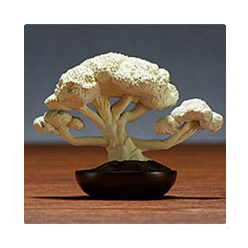 Bonsai Vegetable Mascot Vol. 01 Takara Tomy 1.5-Inch Mini-Figure