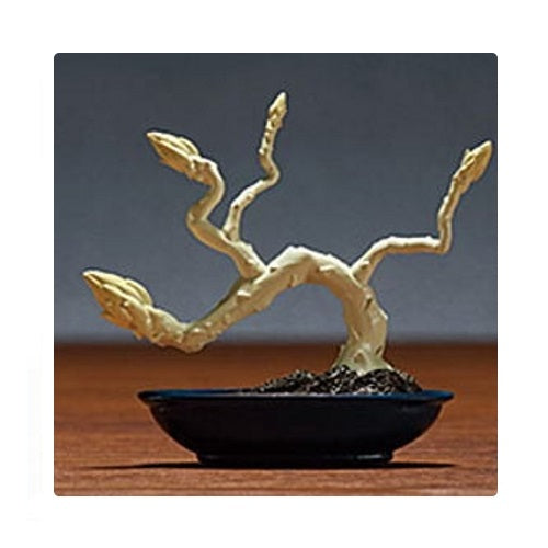 Bonsai Vegetable Mascot Vol. 01 Takara Tomy 1.5-Inch Mini-Figure