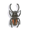 Beetle Collection Specimen Zoom Yell 2-Inch Mini-Figure
