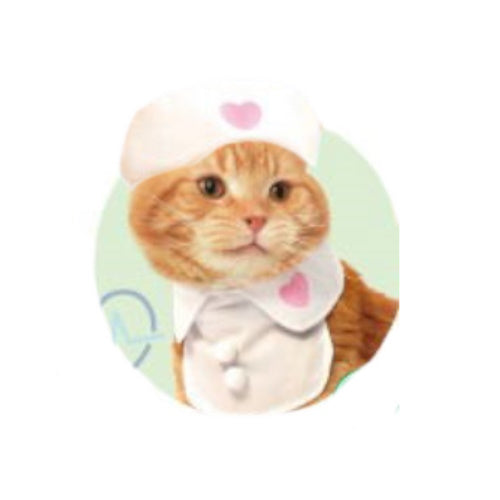 Nurse Cat 2-Piece Costume Set Yell Wearable Outfit