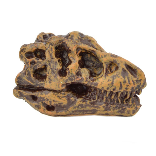 Dinosaur Series Excavation Museum Fossil Skull Yell 2-Inch Collectible Toy