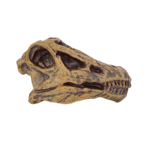 Dinosaur Series Excavation Museum Fossil Skull Yell 2-Inch Collectible Toy
