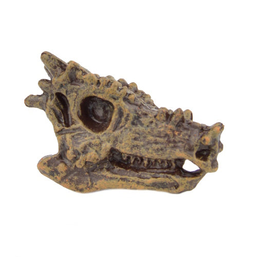 Dinosaur Series Excavation Museum Fossil Skull Yell 2-Inch Collectible Toy