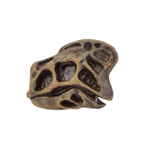 Dinosaur Series Excavation Museum Fossil Skull Yell 2-Inch Collectible Toy