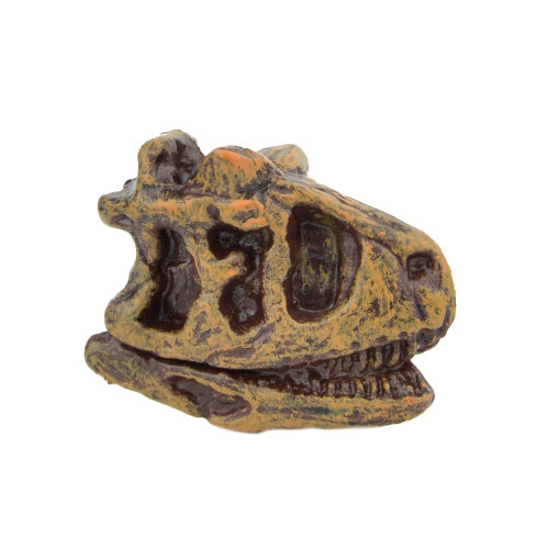Dinosaur Series Excavation Museum Fossil Skull Yell 2-Inch Collectible Toy