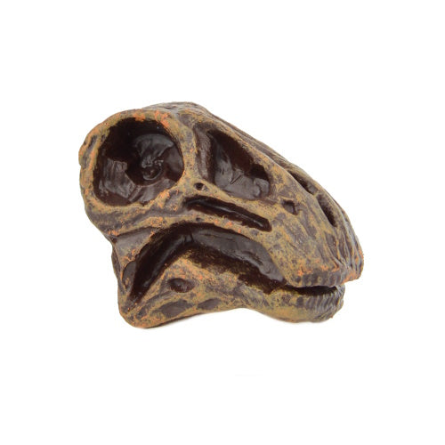 Dinosaur Series Excavation Museum Fossil Skull Yell 2-Inch Collectible Toy