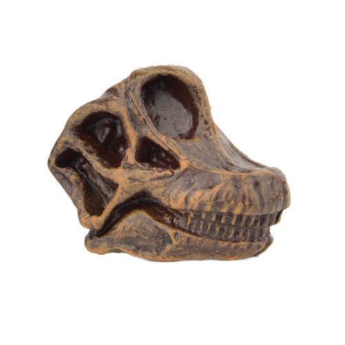 Dinosaur Series Excavation Museum Fossil Skull Yell 2-Inch Collectible Toy