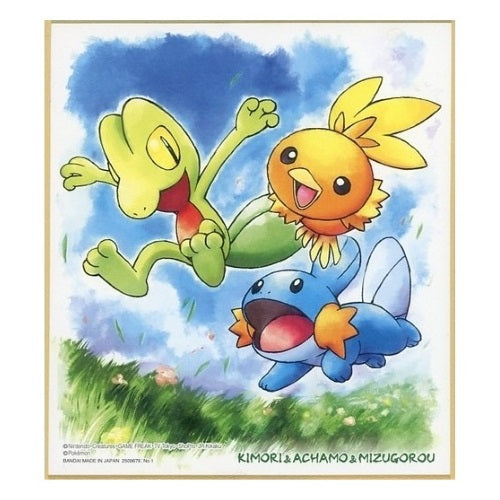 Pokemon Shikishi Art Board Vol 3 Bandai Collectible Picture