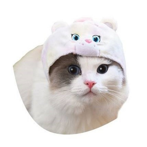 Care Bears Necos Wearable Costume Cat Hat