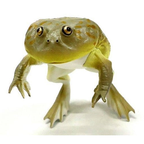 Nature Techni Color Mono Plus Amphibians Ikimon 1.5-Inch