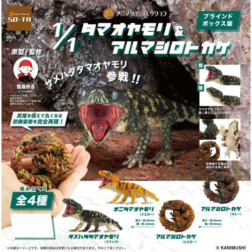 Armadillo Gecko And Knob Tailed Gecko SO-TA Toys 1/1 Scale Mini-Figure