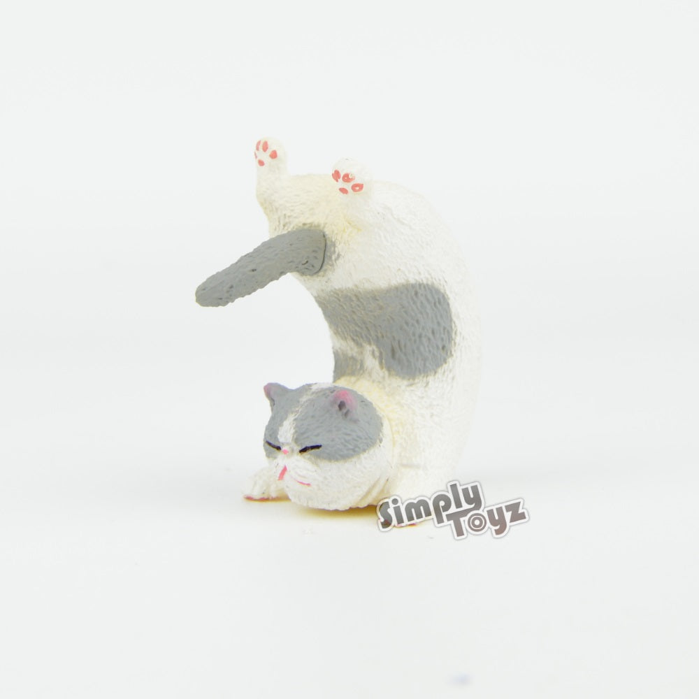 Animal Life Baby Yoga Cat 2.5-Inch Mini-Figure